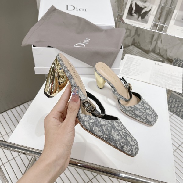 Dior Women Mule Pumps DRS-025