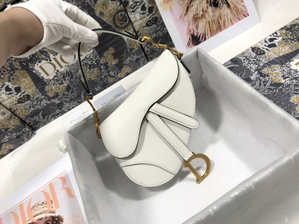 Dior Oblique  Saddle Bag white (DR-BG-H01)